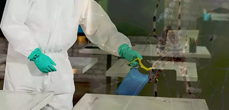Why Buyers Still Want Homes With Pest Infestations in Sturgeon Bay, WI?