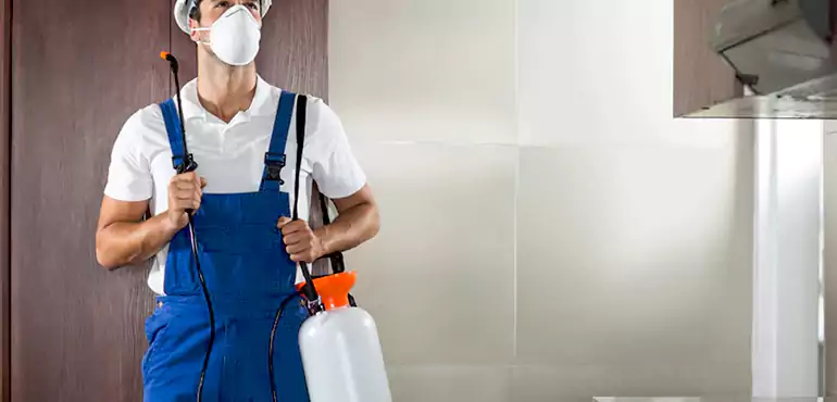 Why Sturgeon Bay Homeowners Choose Us When Pests Make Selling Difficult
