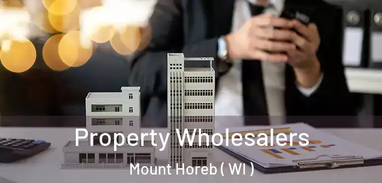  Property Wholesalers Mount Horeb ( WI )