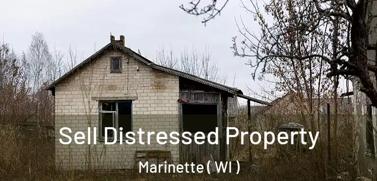  Sell Distressed Property Marinette ( WI )