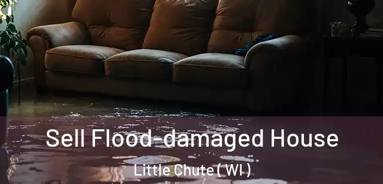  Sell Flood-damaged House Little Chute ( WI )