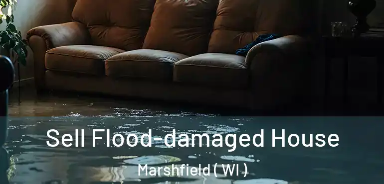  Sell Flood-damaged House Marshfield ( WI )