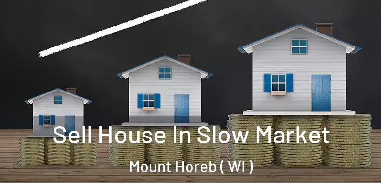  Sell House In Slow Market Mount Horeb ( WI )
