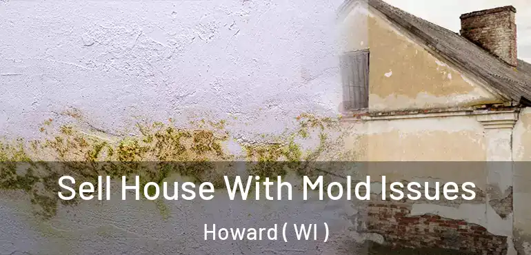  Sell House With Mold Issues Howard ( WI )