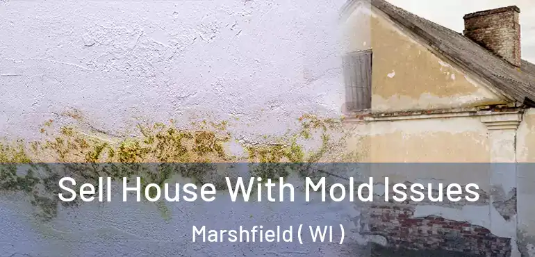  Sell House With Mold Issues Marshfield ( WI )