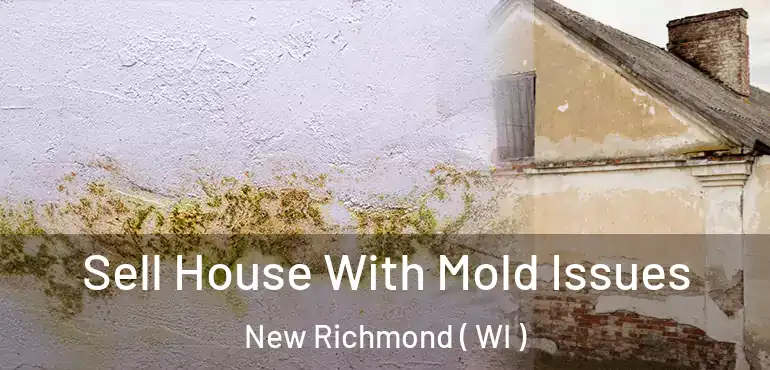  Sell House With Mold Issues New Richmond ( WI )