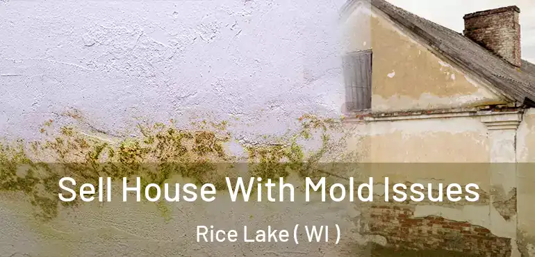  Sell House With Mold Issues Rice Lake ( WI )