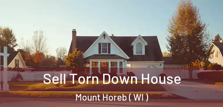  Sell Torn Down House Mount Horeb ( WI )